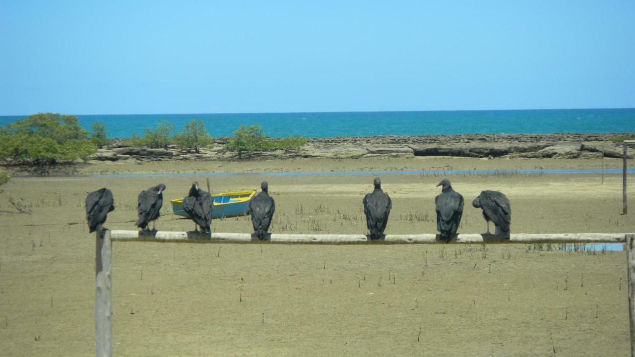 Residencial Praia Dos Corais Coroa Vermelha Экстерьер фото
